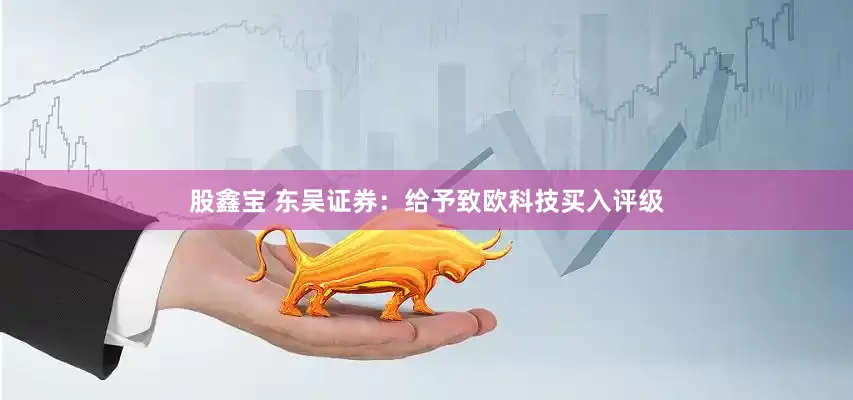 股鑫宝 东吴证券：给予致欧科技买入评级